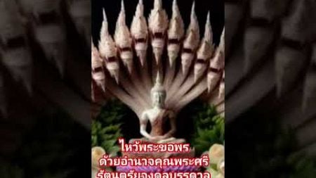 ไหว้พระขอพร#สิ่งศักดิ์สิทธิ์ #การงานการเงิน #โชคลาภ #เจริญรุ่งเรืองร่ำรวย #สาธุ