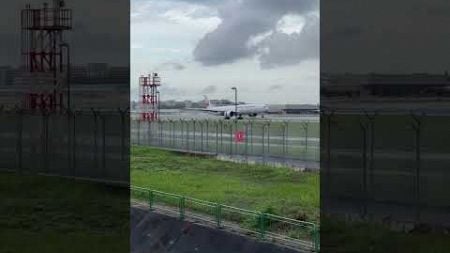 Japan airlines Boeing 777-300ER Landing at wet Singapore on 31st #japan #singapore #changiairport