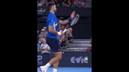 INCREDIBLE from Monfils! All Novak can do is applaud! 👏👏 #9WWOS #BrisbaneTennis #Tennis