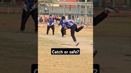 Tennis ball cricket🏏 #cricket #shorts #shiv #india #cricketlover #short #live #usa #uae #kuwait #yt