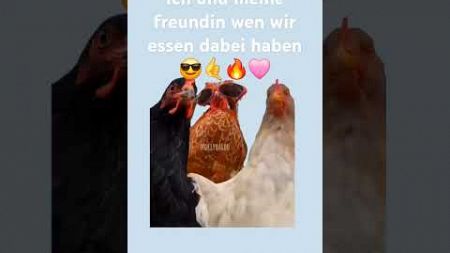 Hahahahaah🤣🤣immer so #essen #funny #fyp #viral #shorts #maybeviral maybeviral