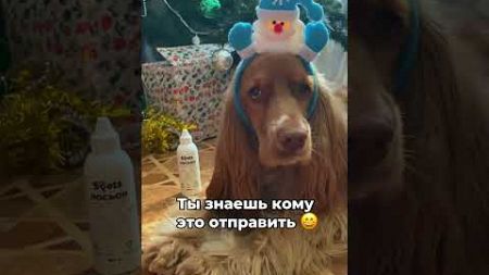 WB: 250104391 Лосьон для чистки ушей 🐶🎄 #косметикадлясобак #питомцы #собаки #домашниепитомцы