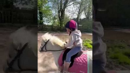 Interesting horse videos🤣🤣🤣#funnyanimal #funny #pets #petvideos #petlover