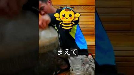 蜂を捕まえて、そこから健康的な飲み物を作っています！😵🐝