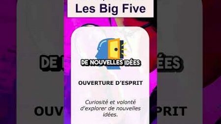 Big Five - 5 traits de personnalité universels