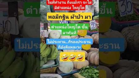 พอมีกฐินผ้าป่าตำแหน่งก็มา!! #อาหาร #อร่อย #food #cooking #funny #ตลก #มาแรง