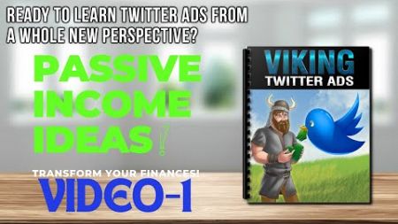 &quot;Intro to Twitter Ads | Viking Twitter Ads Course&quot;