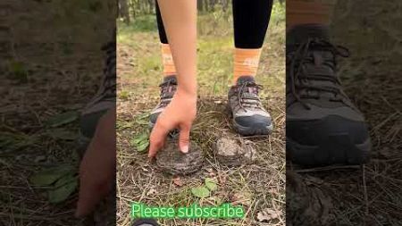 Shock!😱! GIRL uses cow POOP!🐄💩#camping #survival #bushcraft #outdoors #lifehack #trending #shorts