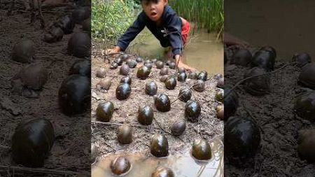 Survival Skills: SIMPLE and useful snail found in water #bushcraft #camping #outdoors