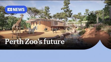 Once the elephants are gone, what&#39;s next for Perth Zoo? | ABC News