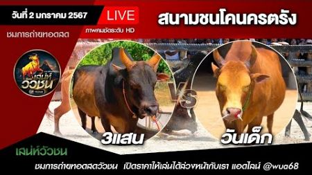 🔴 ถ่ายทอดสดวัวชน สนามกีฬาชนโคนครตรัง วันที่ 2 มกราคม 68 #ดูวัวชน #วัวชน #วัวชนตรัง