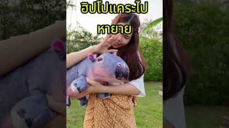 หมูเด้งหูเล็ก | ครูนกเล็ก