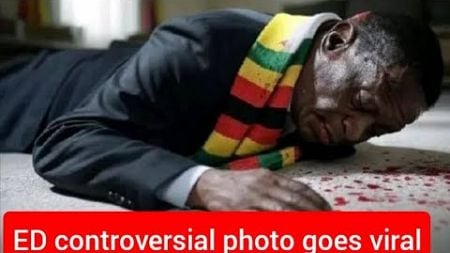 Social Media Frenzy: President Emmerson Mnangagwa Seen In Controversial Photo