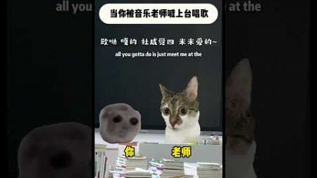 当音乐老师叫你上台唱歌 #猫meme #喵不可言 #猫meme小剧场 #cat #喵 #唱歌 #shorts