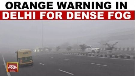 Weather News: Cold Wave Sweeps North India, Blinding Fog In Several Cities