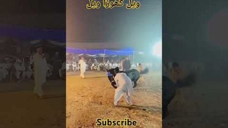 Horse dance so beautiful ❤️❤️&quot;Ustad Zahid Madhool