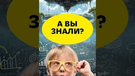 А вы знали, что пауки умеют путешествовать по воздуху?