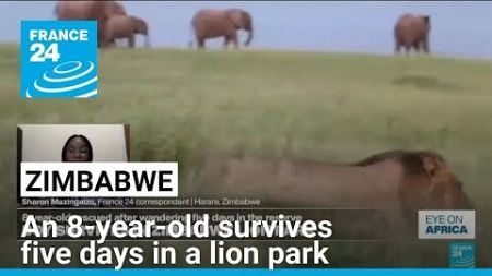 Zimbabwe: An 8-year-old survives five days in a lion park • FRANCE 24 English