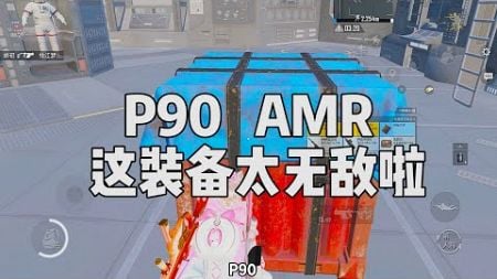 P90和AMR,有这装备这局游戏肯定稳了...