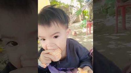 ดาราภาคอีสาน 55555 #น้องโฟกัสธิติกร #baby #shortvideo #shorts