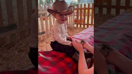 Little boy gets excited to see bird