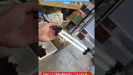 【エヴァリス クォーツグラスチューブ LED -T200-WH】1500円で販売中（東京都江戸川区）【買取専門店/セカンドアクア】