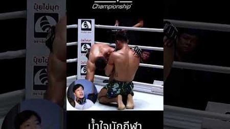 ความสวยงามของกีฬามวยไทย #europettn #มวยไทย #onechampionship #onelumpinee #ต่อยมวย #boxing