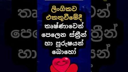 එයාලා තමයි හොදටම කරගන්නේ 😍😍. #psychology #education #shorts