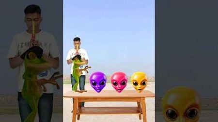 Head to frog, jocker, gorilla &amp; Dame tu cosita Alien dance - vfx magic video