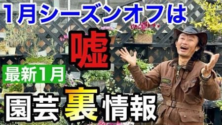 なんてこった…2025年は1月から〇〇が販売されます【カーメン君】【園芸】【ガーデニング】【初心者】