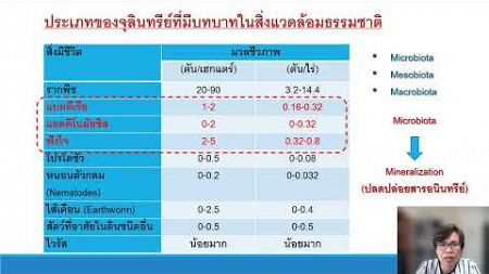 การฟื้นฟูสิ่งแวดล้อมด้วยกระบวนการทางชีวภาพ II