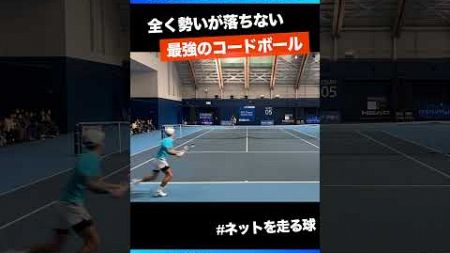 #最強のコードボール【SBCファイナル2024/予選】綿貫陽介(SBCメディカルグループ) #shorts #テニス #tennis