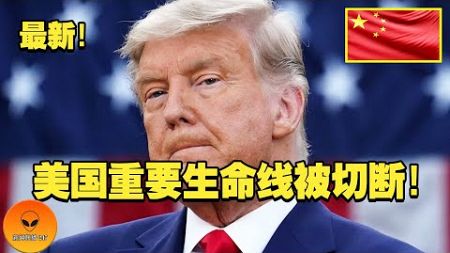 中国终于对美国出手了！禁止出口电池制造技术！窒息美国的重要生命线