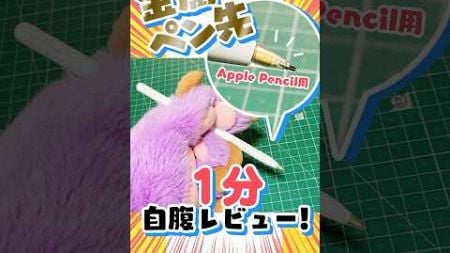 【自腹レビュー】界隈大流行❗️Apple pencil用金属ペン先って実際はどうなの❓❓✏️【iPad】 #イラストメイキング #レビュー