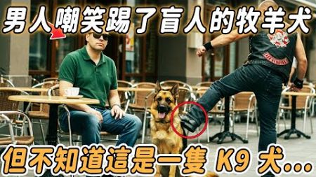 摩托車手開嘲笑踢了盲人的牧羊犬，但不知道這是一隻 K9 犬#不可思議 #流浪狗 #救援 #寵物