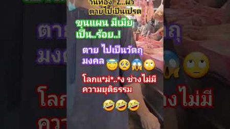 ขุนแผนมีเมียเป็นร้อย..! #food #อาหาร #อร่อย #cooking #ตลก #funny #คลปตลก #มาแรง