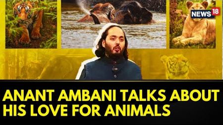 Reliance Industries Limited Director Anant Ambani Talks About His Love For Animals And Vantara