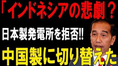 「インドネシアの悲劇？日本の電力技術を拒否、カンボジアの成功が浮き彫りにする国際的な違い！」