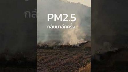 #สภาพอากาศ #pm25 #การเผา #มบพิษทางอากาศ #สิ่งแวดล้อม