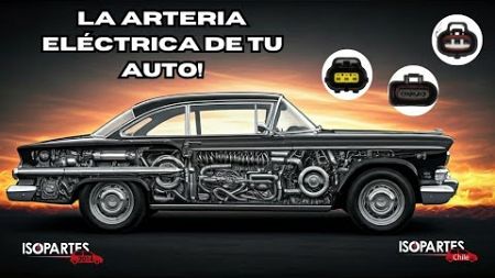 🚗Conectores y Enchufes Automotrices La Arteria Eléctrica de tu Auto