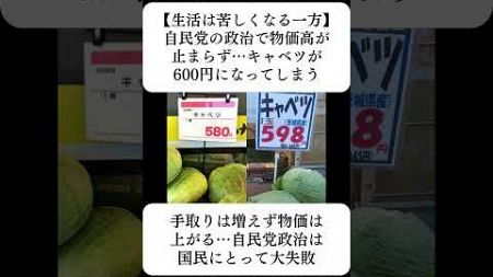 【生活は苦しくなる一方】自民党の政治で物価高が止まらず…キャベツが600円になってしまう…に対する世間の反応