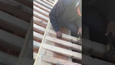 Build the roof of a wooden house #woodworking #craft