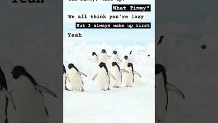 Beautiful Funny Penguins #penguins #cute #funny #animals #wildlife #nature #cuteanimals #environment