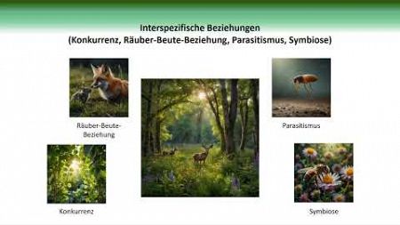 Interspezifische Beziehungen (Konkurrenz, Räuber-Beute, Parasitismus, Symbiose) | BiologieKompakt