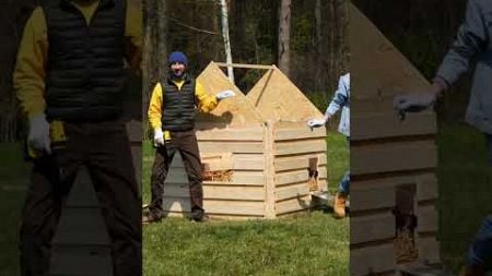 Cute Tiny House with Recycled Pallets for Sweet Pets 🏠