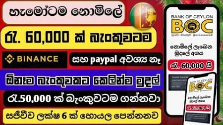 🎁 ලක්ෂ 6 ක් හොයන සයිට් එකක් | ඕනෑම බැංකුවකට මුදල් ගමු | earn money sinhala 2025