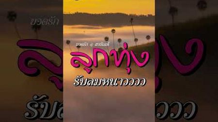 สาริกาไร้รัง | ยอดรัก สลักใจ #shorts #ฟังเพลง #เพลงเพราะ #เพลงดัง #เพลงฮิต #ลูกทุ่ง #ปัน