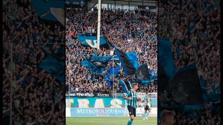 Das bedeutet Waldhof Mannheim 👊💥 #mannheimer #waldhof #ultras #fußball #3liga #stadion #fans #dfb #w