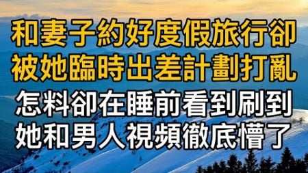 “那就是個誤會！”，和妻子約好度假旅行卻被她臨時出差計劃打亂，怎料卻在睡前看到刷到她和男人視頻徹底懵了！一口氣看完 ｜完結文｜真實故事 ｜都市男女｜情感｜男閨蜜｜妻子出軌｜楓林情感