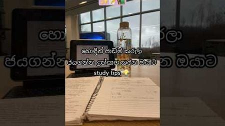 වැදගත් නම් subscribe කරල තියාගන්න🌚💗 #study #motivation #education #exam #productivity #study